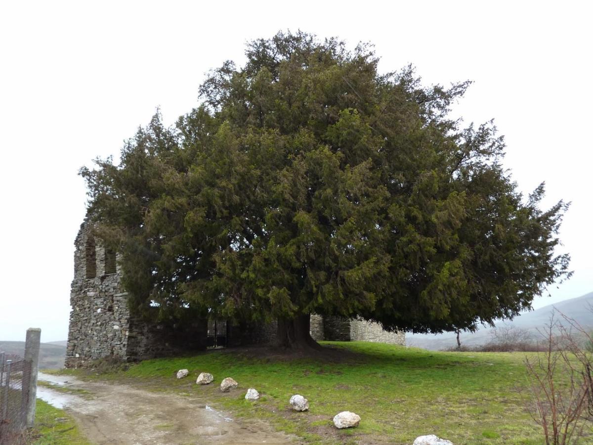 Pensjonat Casa De Abril 1 San Cristobal de Valdueza Pokój zdjęcie